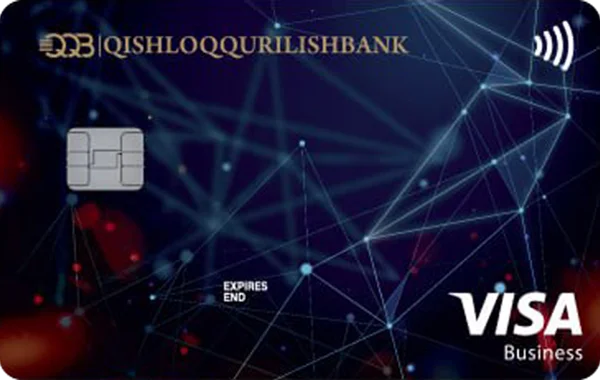 Visa Business