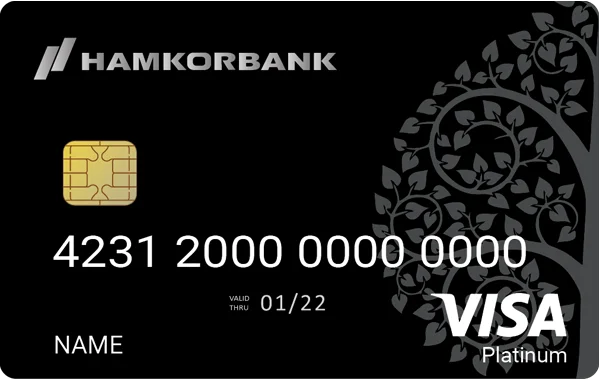 Visa Platinum