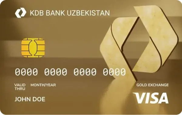 Visa Gold Euro Exchange