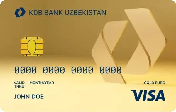 Visa Gold Euro