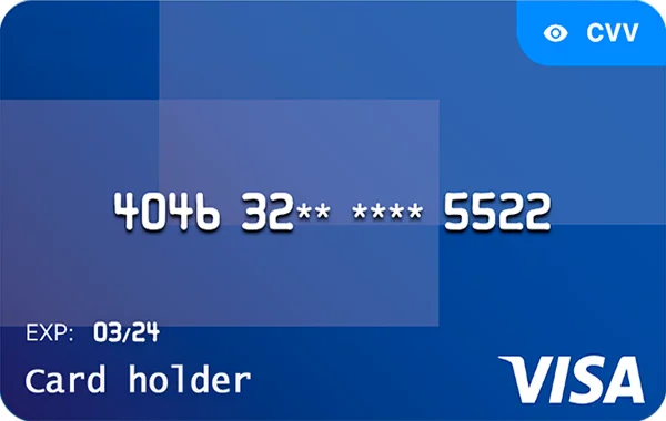 VISA Virtual — Octobank